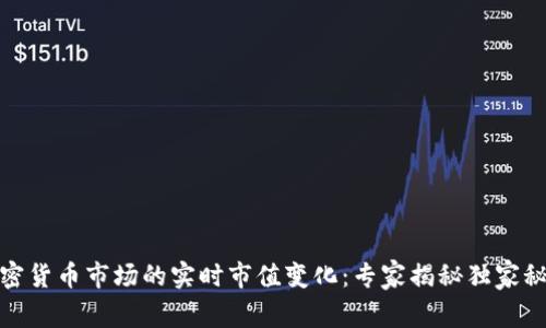 加密货币市场的实时市值变化：专家揭秘独家秘诀