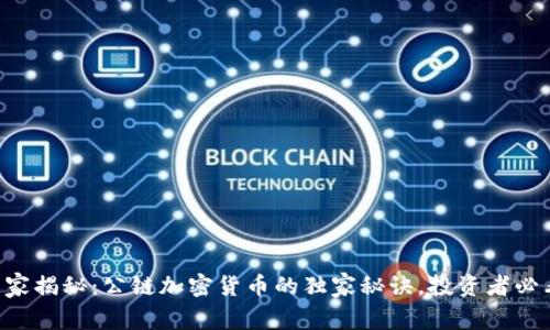 专家揭秘：公链加密货币的独家秘诀，投资者必看！