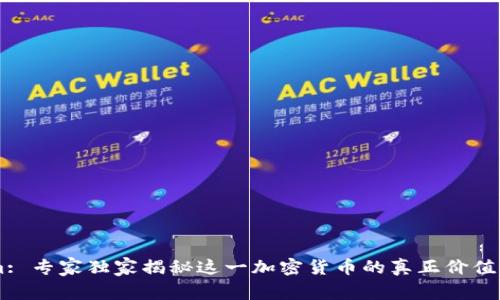 揭秘Steem: 专家独家揭秘这一加密货币的真正价值与未来秘诀