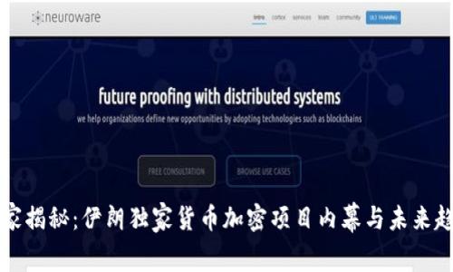 专家揭秘：伊朗独家货币加密项目内幕与未来趋势