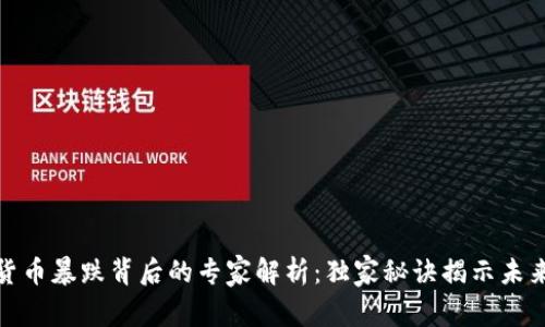 加密货币暴跌背后的专家解析：独家秘诀揭示未来趋势