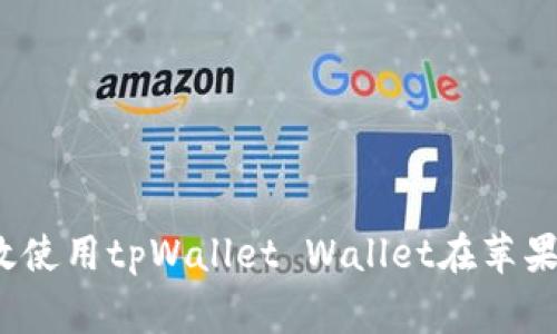 专家揭秘：如何高效使用tpWallet Wallet在苹果系统上的独家秘诀