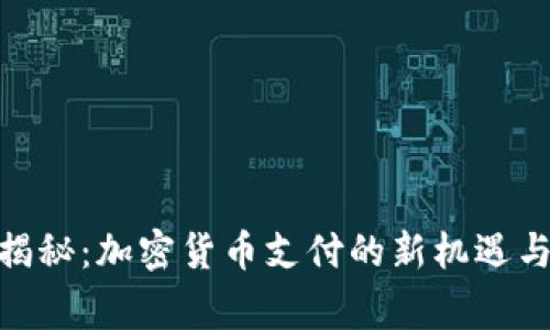 Visa独家揭秘：加密货币支付的新机遇与专家建议