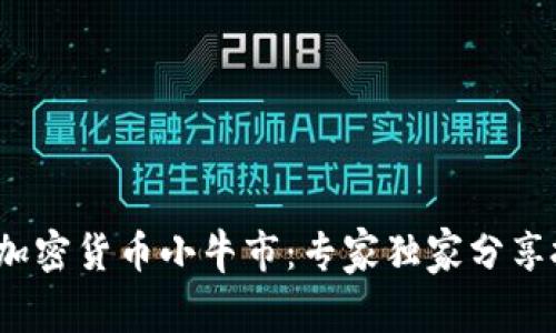 2023年加密货币小牛市：专家独家分享投资秘诀