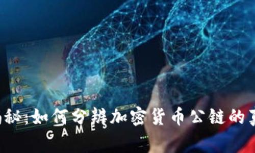 专家独家揭秘：如何分辨加密货币公链的真伪和潜力？