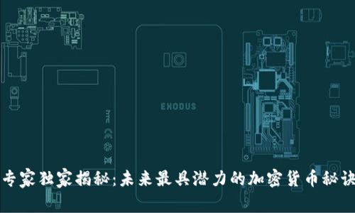 专家独家揭秘：未来最具潜力的加密货币秘诀