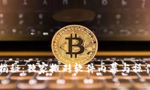 专家揭秘：独家搬砖软件内幕与操作秘诀