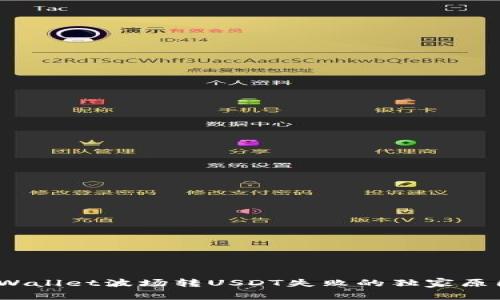 专家揭秘：tpWallet波场转USDT失败的独家原因与解决秘诀