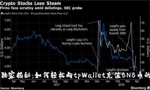 专家独家揭秘：如何轻松向tpWallet充值BNB币的秘诀