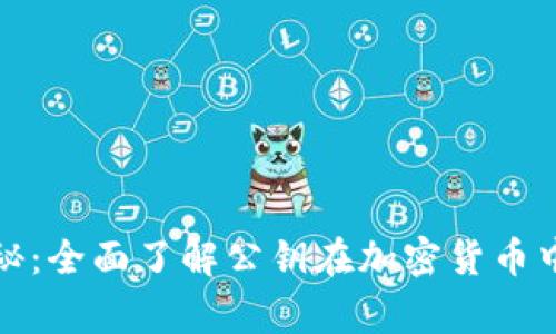 加密货币专家独家揭秘：全面了解公钥在加密货币中的重要性与应用秘诀