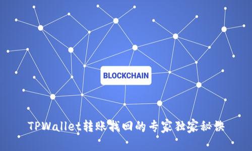 TPWallet转账找回的专家独家秘诀