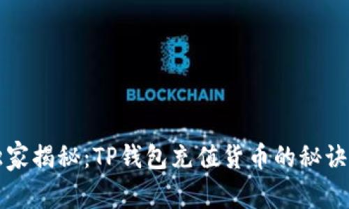 专家独家揭秘：TP钱包充值货币的秘诀与技巧