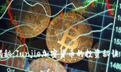 专家独家揭秘：Junjie加密货币的投资秘诀与未来