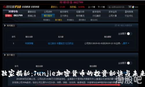 专家独家揭秘：Junjie加密货币的投资秘诀与未来前景