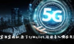 专家独家揭秘：除了tpWallet，还能导入哪些钱包？