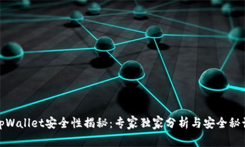 tpWallet安全性揭秘：专家独家分析与安全秘诀