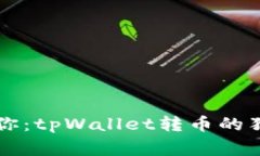 专家教你：tpWallet转币的独家秘诀
