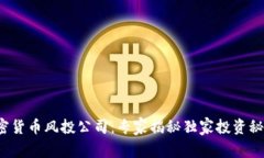 加密货币风投公司：专家揭秘独家投资秘诀！