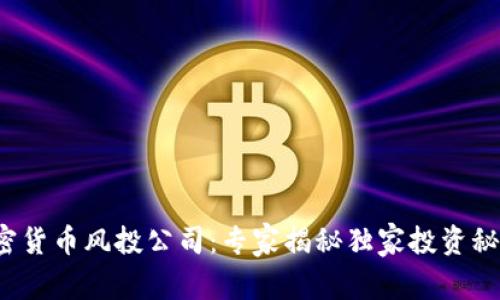 加密货币风投公司：专家揭秘独家投资秘诀！