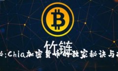 专家揭秘：Chia加密货币的独家秘诀与投资前景