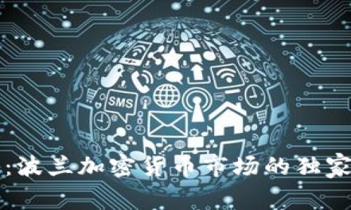 专家揭秘：波兰加密货币市场的独家投资秘诀