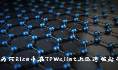 专家揭秘：为何Rice币在TPWallet上迅速崛起的独家