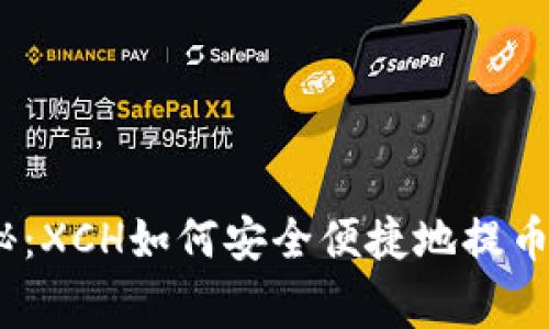 专家独家揭秘：XCH如何安全便捷地提币到TPWallet？