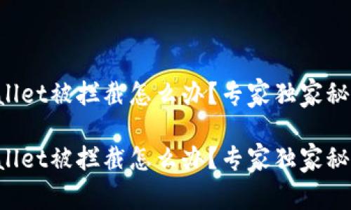 下载tpWallet被拦截怎么办？专家独家秘诀大揭秘！

下载tpWallet被拦截怎么办？专家独家秘诀大揭秘！