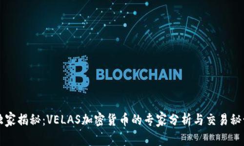 独家揭秘：VELAS加密货币的专家分析与交易秘诀