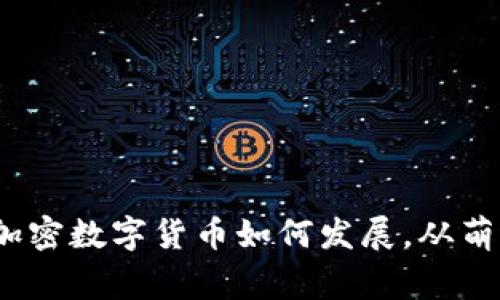专家独家揭秘：加密数字货币如何发展，从萌芽到繁荣的秘诀