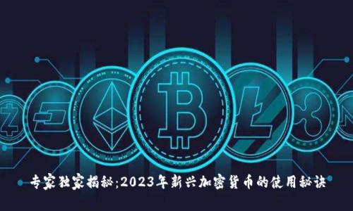 专家独家揭秘：2023年新兴加密货币的使用秘诀