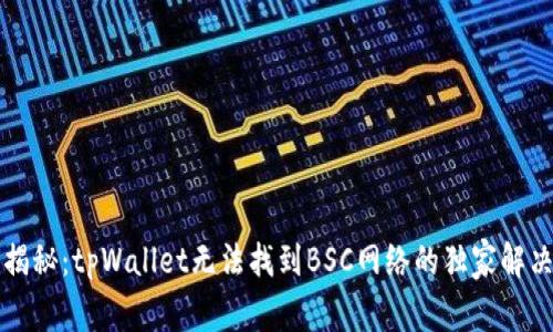 专家揭秘：tpWallet无法找到BSC网络的独家解决秘诀