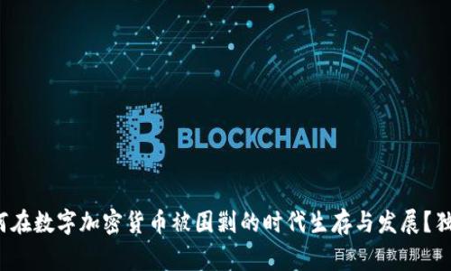 专家揭秘：如何在数字加密货币被围剿的时代生存与发展？独家秘诀大公开