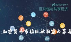 专家解读：加密货币市场现状独家内幕与发展秘