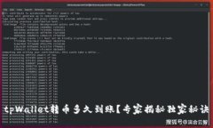tpWallet转币多久到账？专家揭秘独家秘诀