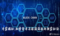 专家揭秘：加密货币与能源消耗的独家秘诀