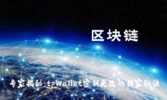 专家揭秘：tpWallet密钥更改的独家秘诀