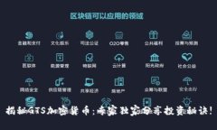 揭秘GTS加密货币：专家独家分享投资秘诀!