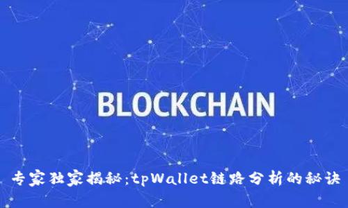 专家独家揭秘：tpWallet链路分析的秘诀