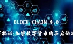 专家独家揭秘：加密数字货币购买后的冻结秘诀