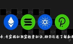 KDA加密货币：专家揭秘独家投资秘诀，助你迅速