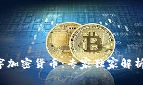 揭秘VIC数字加密货币：专家独家解析其投资秘诀