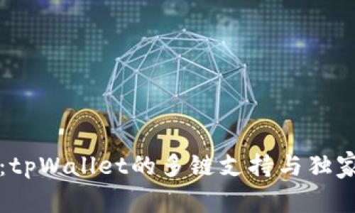 专家揭秘：tpWallet的多链支持与独家使用秘诀