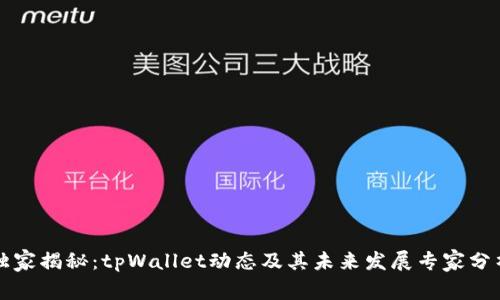 独家揭秘：tpWallet动态及其未来发展专家分析