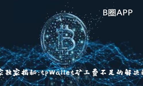 专家独家揭秘：tpWallet矿工费不足的解决秘诀