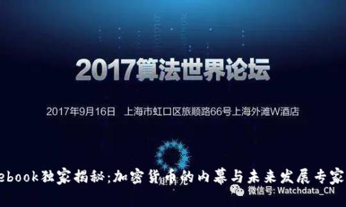 Facebook独家揭秘：加密货币的内幕与未来发展专家解读