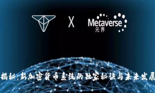 专家揭秘：新加密货币系统的独家秘诀与未来发展趋势