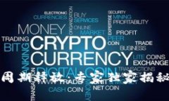 加密货币周期释放：专家独家揭秘赚钱秘诀