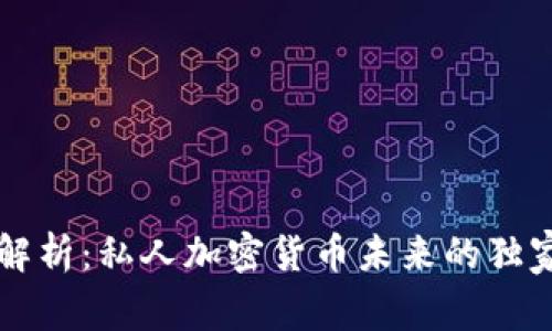 专家解析：私人加密货币未来的独家秘诀