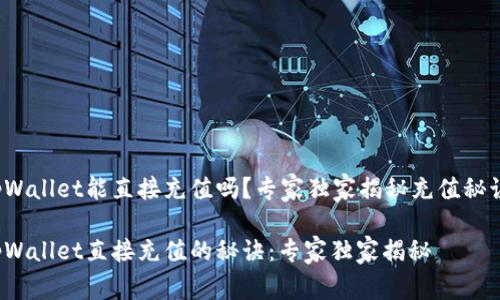 tpWallet能直接充值吗？专家独家揭秘充值秘诀！

tpWallet直接充值的秘诀：专家独家揭秘